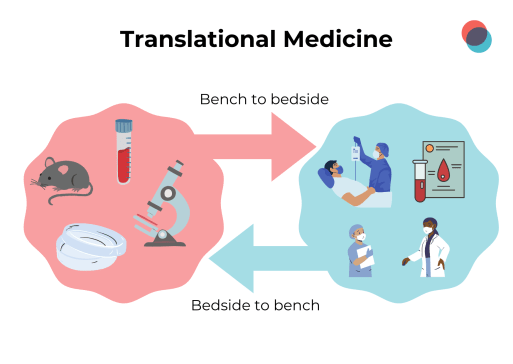 Translational journal clearance